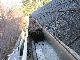 Gutter cleaner bath - blocked gutter